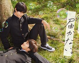 优化网站的软件qh灬云速捷